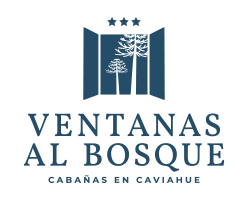 Canvas Logo